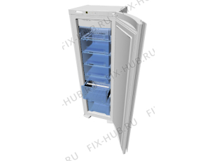 Холодильник Gorenje FN67233E (156176, ZOF2467CB) - Фото